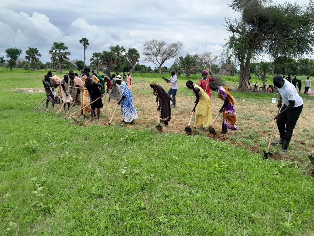 Preparing the land together, hoes in hand