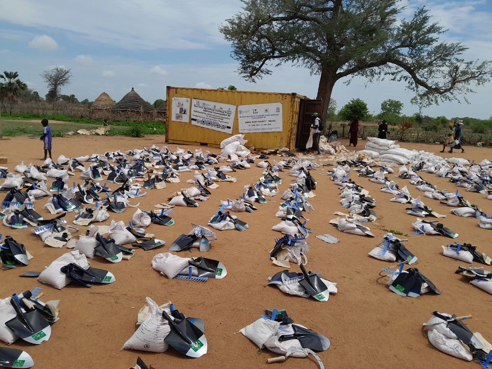 Aid parcels laid out for orderly distribution