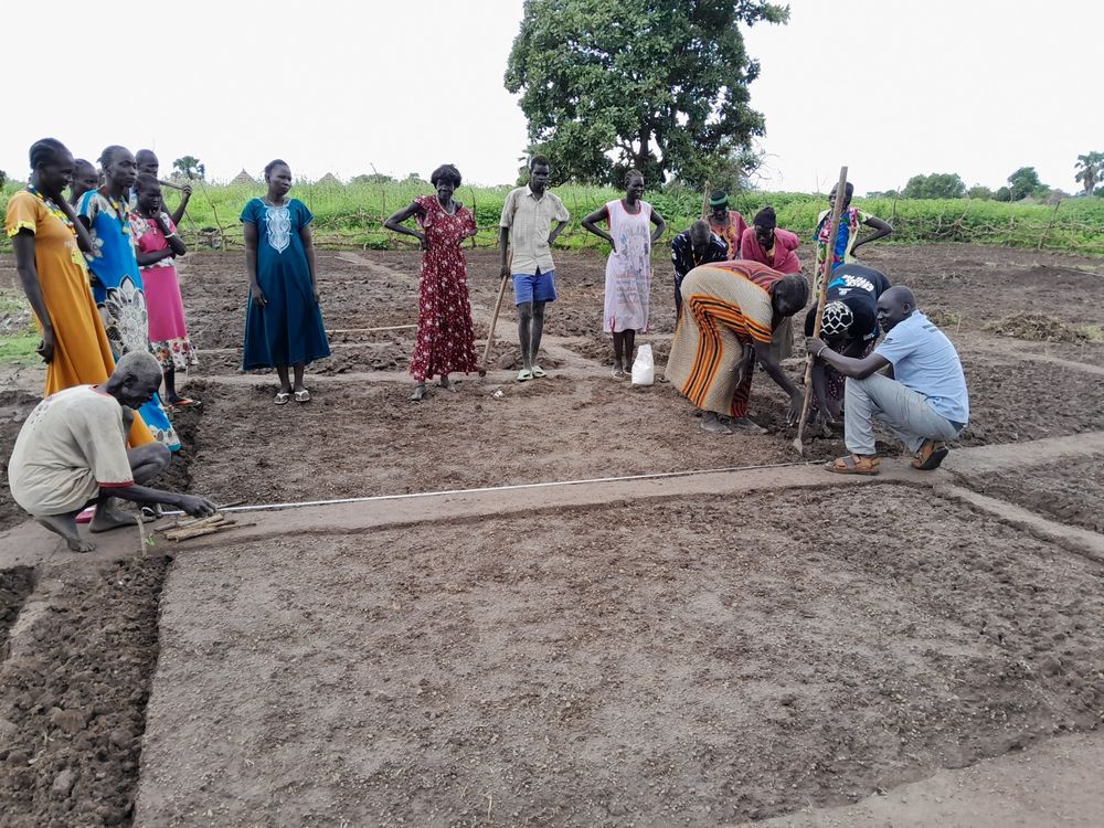 Demarcating cooperative garden beds