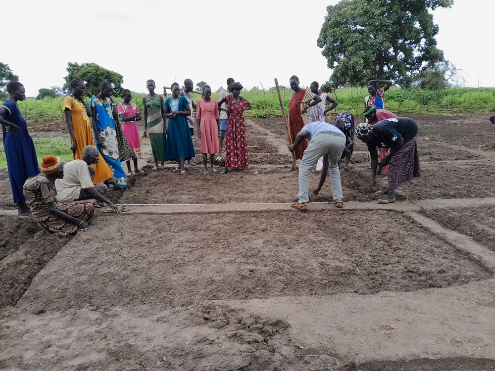 Group work shaping the garden plots
